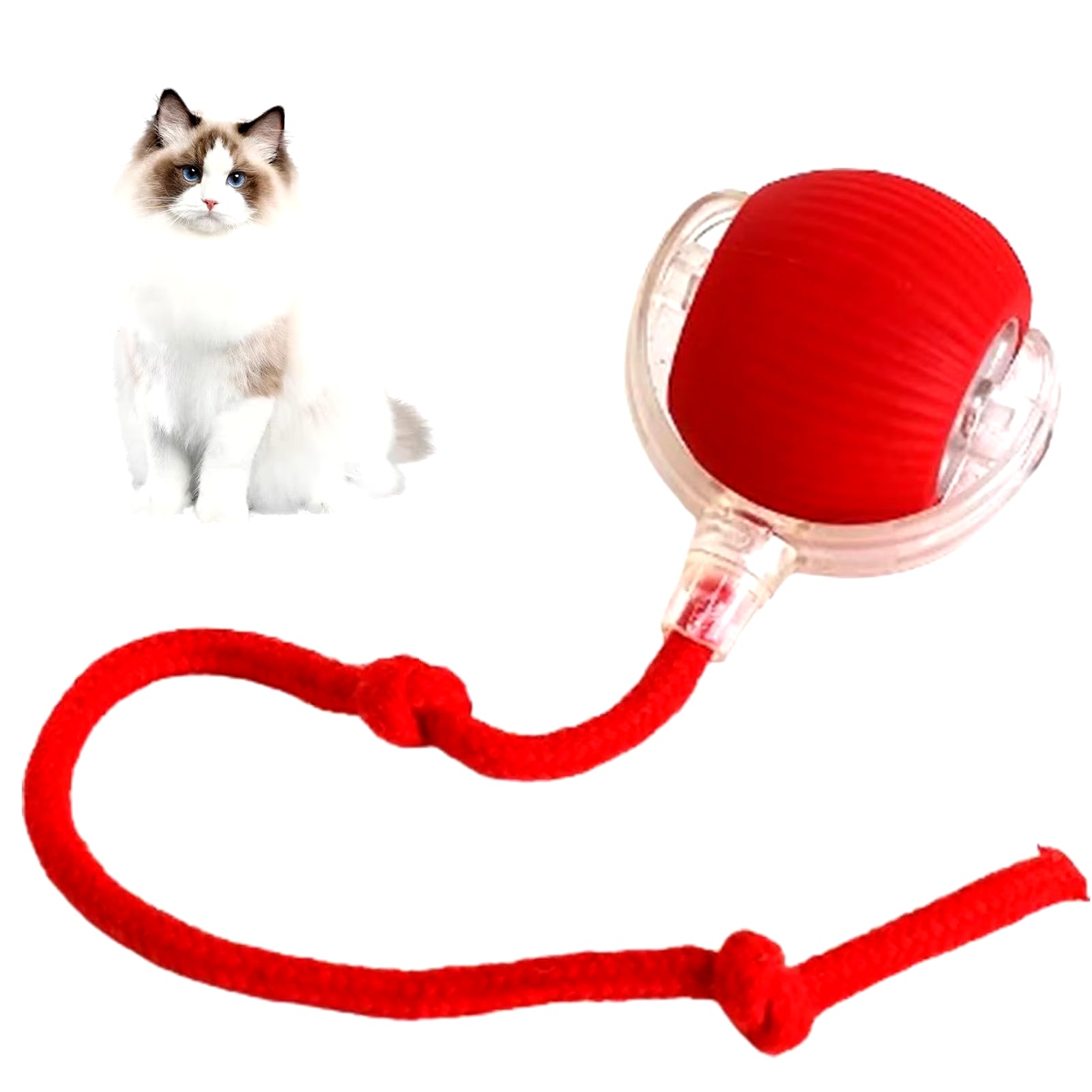 Smart Chase Pet Toy Ball