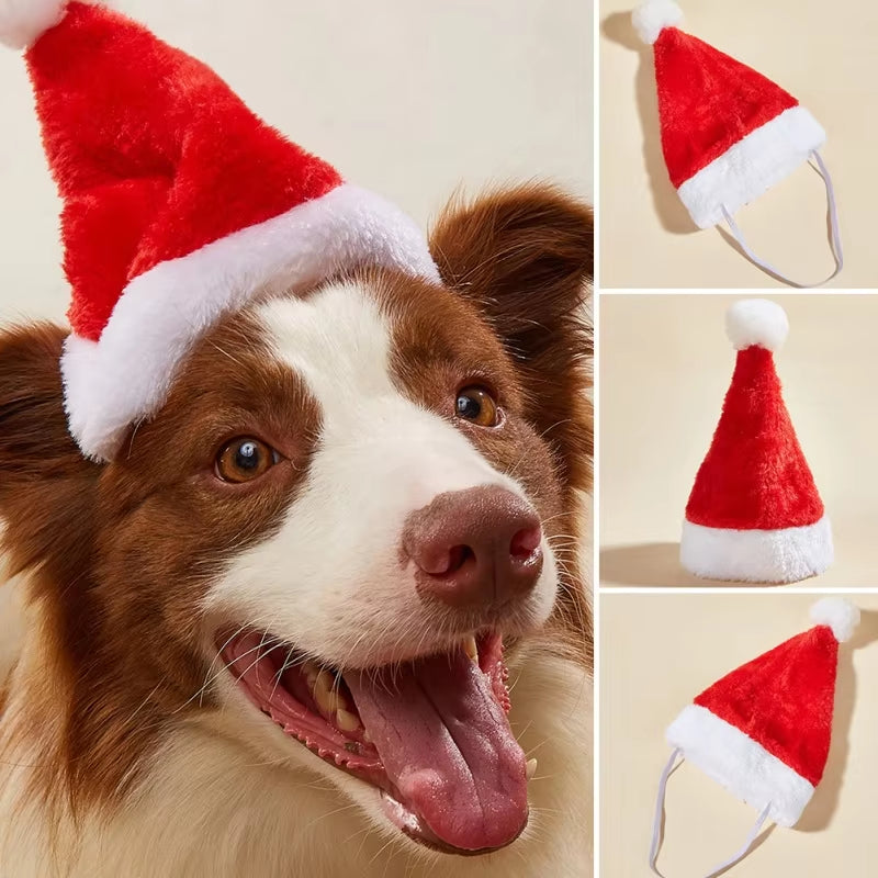 Hat Christmas Pet