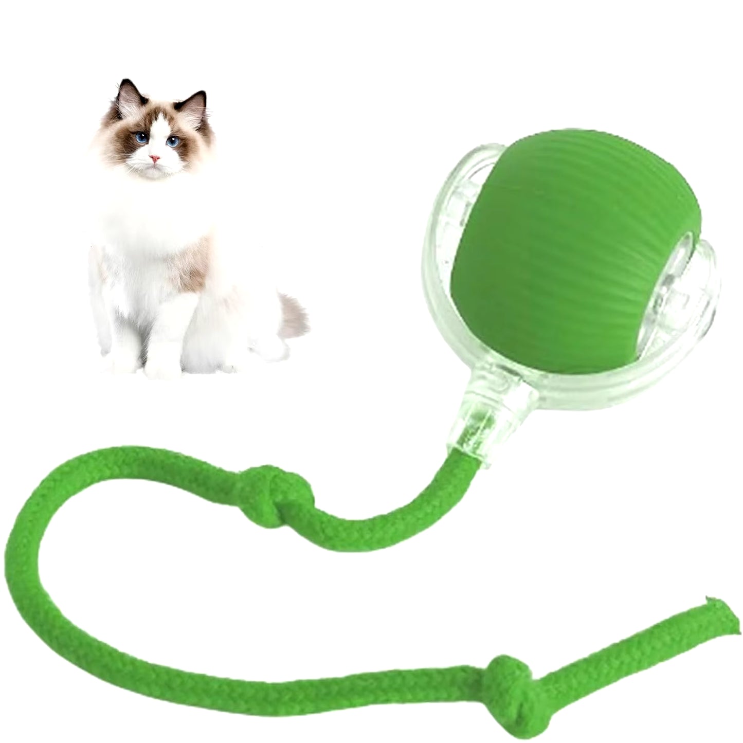 Smart Chase Pet Toy Ball