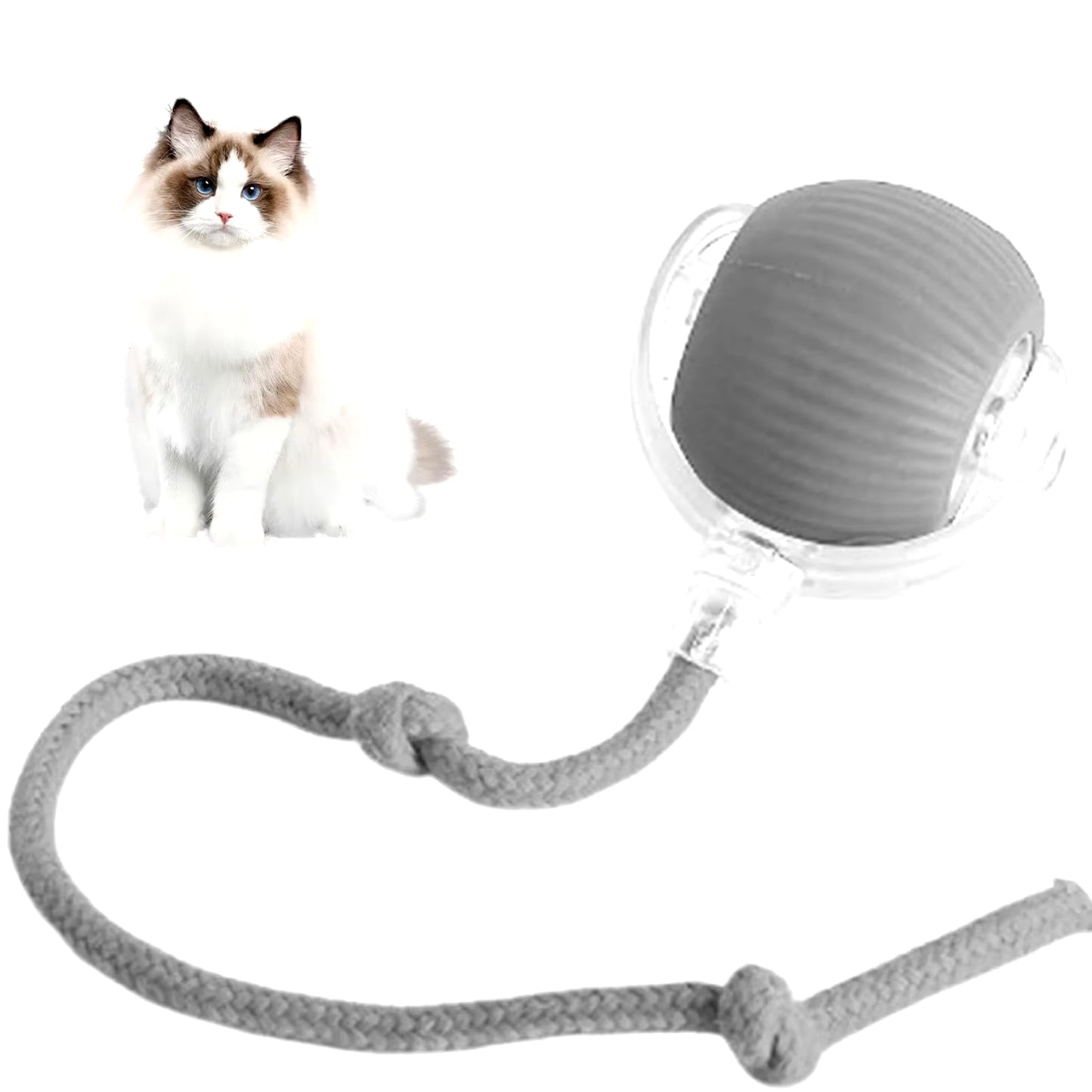 Smart Chase Pet Toy Ball